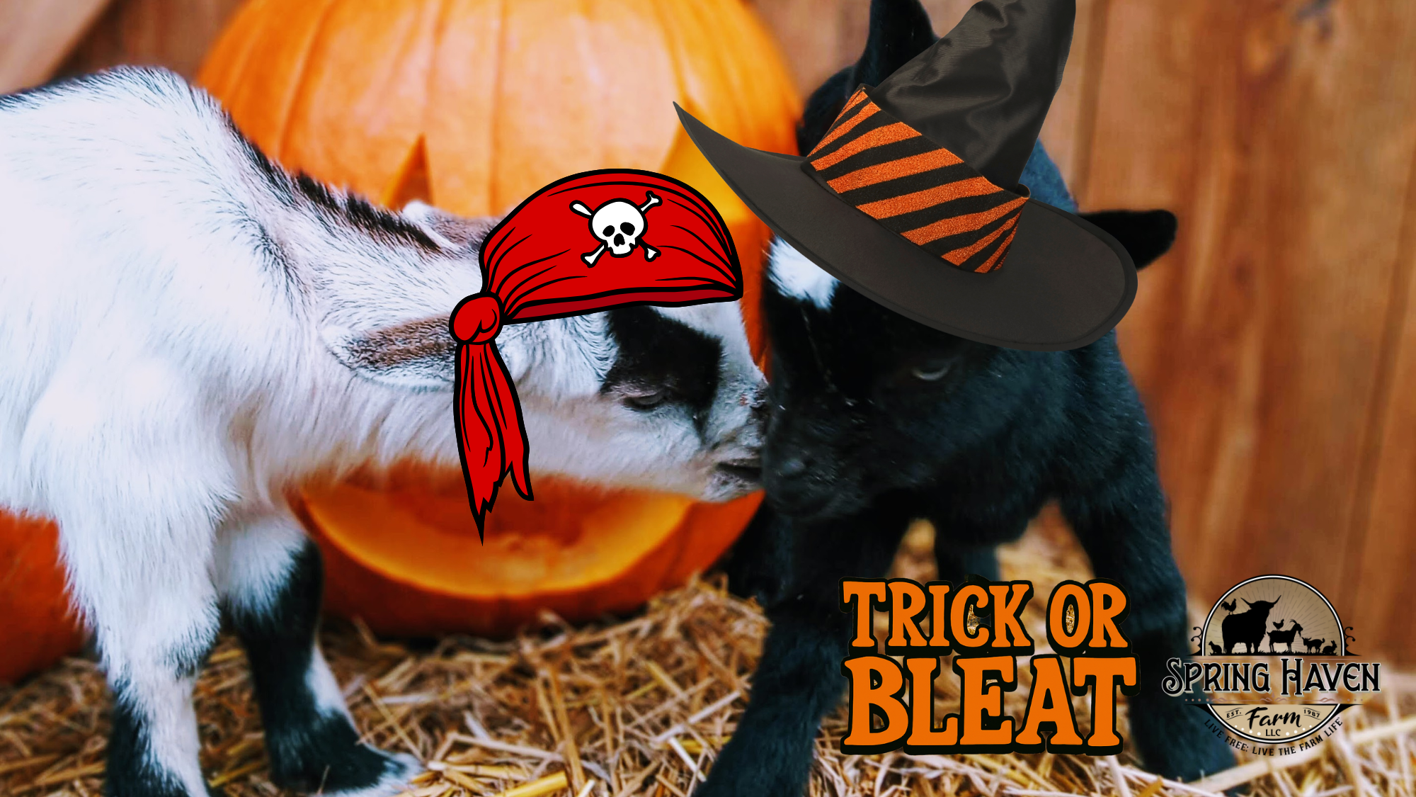 CORRECT FB COVER SIZE (14)